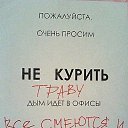  , , 46  -  11  2015    