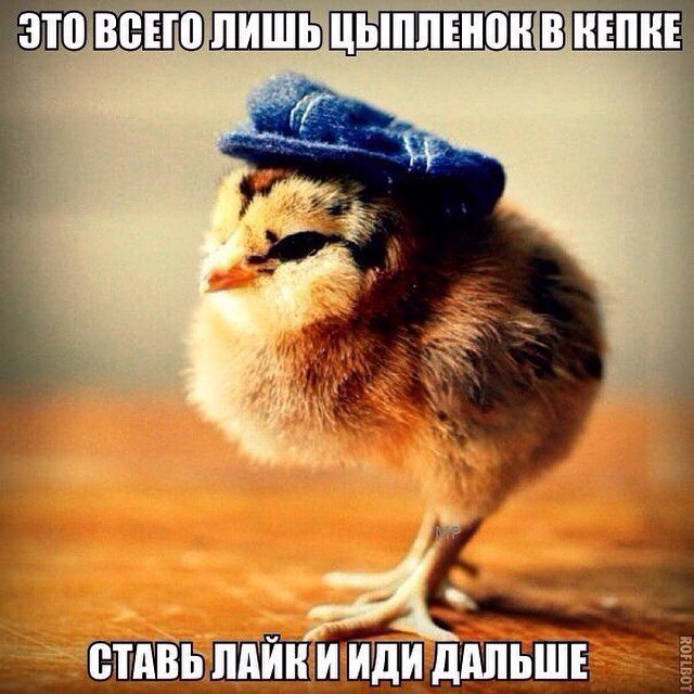 ������� ����� ����� :-) - 9 ���� 2015 � 12:40