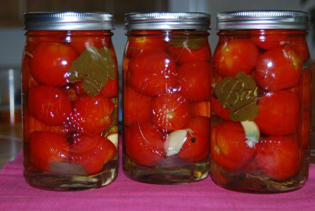 Помидоры без уксуса сладкие.Возьмите отборные помидоры, несколько болгарских перцев, одну луковицу и ...