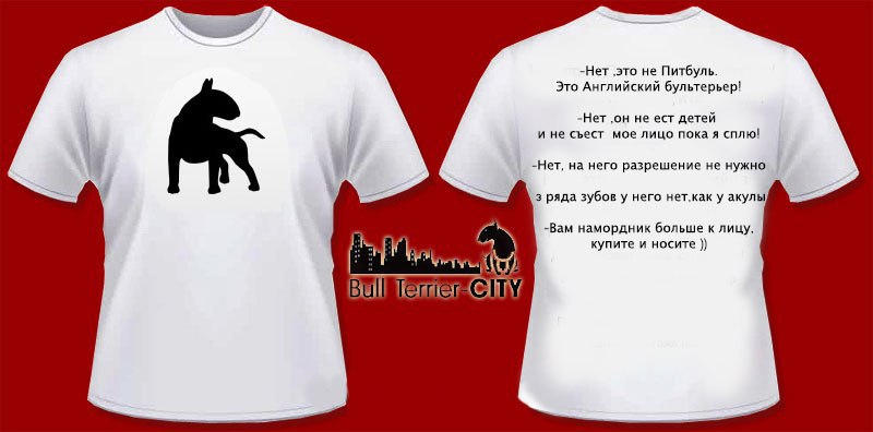 Английский бультерьер. - 23 мая 2015 в 02:05