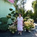 ���� �������, ������, 73 ���� - ��������� 10 �������� 2015 � ������ ���� ����������