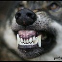 ���� �����, ������, 56 ��� - ��������� 10 ���� 2015 � ������ ���� ����������