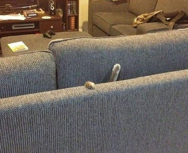 ���� � �������� ��������� - 5