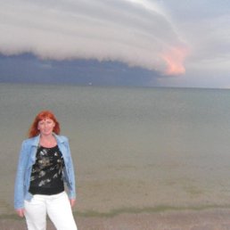 ��������, ��������������, 50 ���