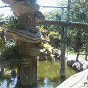    -  ,  -  31  2015   .  2015.  .  6-.