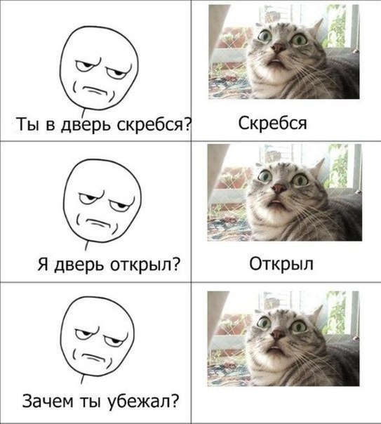    :D - 12  2015  01:32