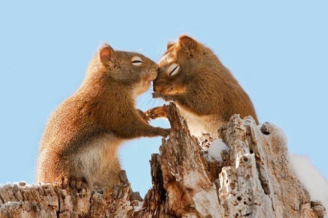   .#animal@travel.blog - 4