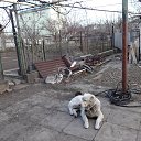 ���� �����, ������, 63 ���� - ��������� 8 ���� 2015 � ������ ���� ����������