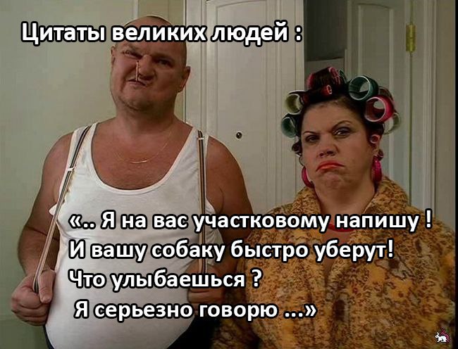 Английский бультерьер. - 21 июля 2015 в 00:03