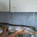 ���� Olga, �����-���������, 49 ��� - ��������� 30 ���� 2015 � ������ ���� ����������