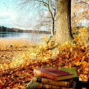 ���� Kato, �������, 41 ��� - ��������� 3 �������� 2015 � ������ ���� ����������