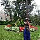  , , 73  -  24  2015    2015.