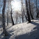 ���� �������, ����, 68 ��� - ��������� 17 �������� 2015 � ������ ������ ��������