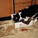  , -, 54  -  12  2015   