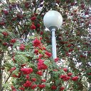 ���� ������� �, ��������, 59 ��� - ��������� 19 ������� 2015 � ������ ���� ����������