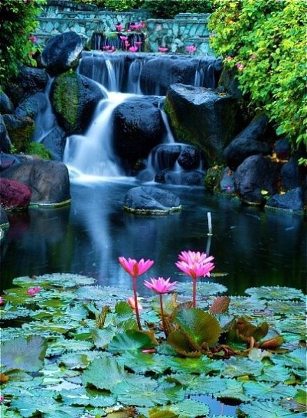 Bali - 2