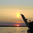   *203* Raccoon City,  -  15  2015    