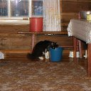  , -, 54  -  12  2015   