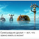 ���� ����, ���������� - ��������� 8 �������� 2015 � ������ ���� ����������