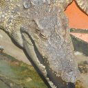    -  ,  -  30  2015   .  2015.   .  3-.