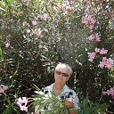 ���� �����, �����, 70 ��� - ��������� 2 ������� 2015