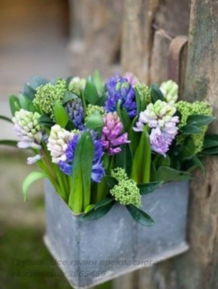 ||  ... || - 15  2015  23:12 - 6