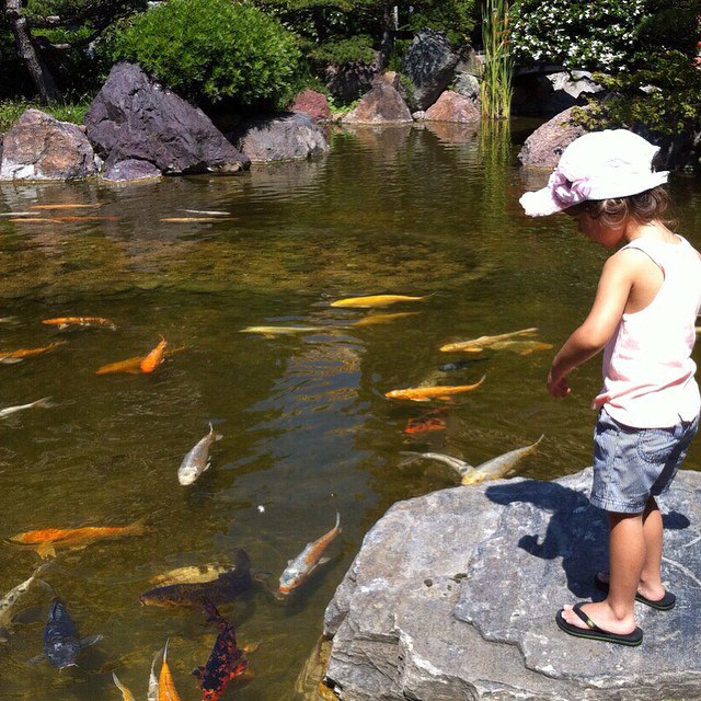 #wonderfulworld.#AngelinaSmurfit ����� ��������� �� �������)) � ���� ��� #����������� �������� ...