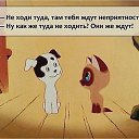 ���� ������, �����-���������, 41 ��� - ��������� 13 ���� 2015 � ������ ������ ��������
