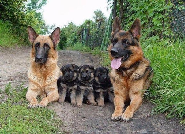   => https://fotostrana.ru/away?to=/sl/sA4 https://fotostrana.ru/away?to=/sl/rA4