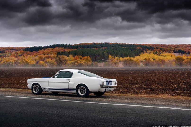 Ford Mustang Shelby GT350. - 3