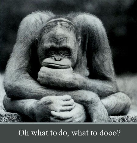 CONFUSION [kn'fju()n] - , , https://fotostrana.ru/away?to=/sl/bxC2 / general / utter confusion ...