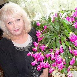 ���� ������, ���������, 72 ���� - ��������� 27 ��� 2015