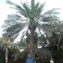 ���� Arshak, ������, 59 ��� - ��������� 15 ������� 2015 � ������ ���� ����������