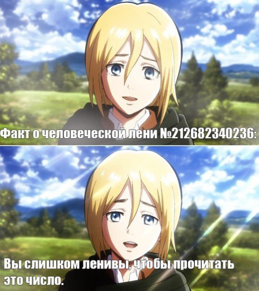   ,  .