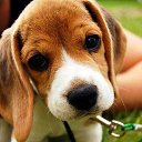 ���� O.l., �����, 59 ��� - ��������� 5 ��� 2015 � ������ ���� ����������