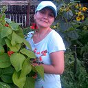 ���� �������, ������������, 50 ��� - ��������� 4 �������� 2015 � ������ ���� ����������