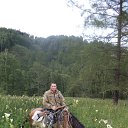 ���� ������, �����-�������, 41 ��� - ��������� 23 ���� 2015