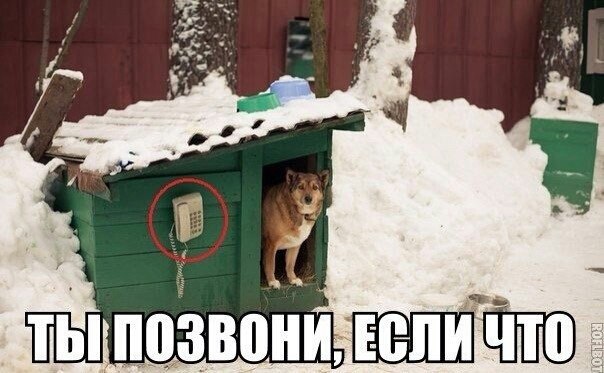 ))) - 2  2015  10:21