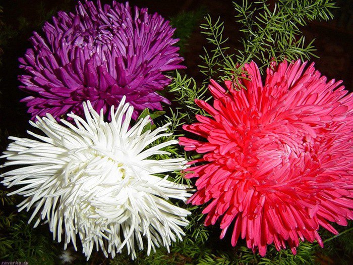 �������-�������. ������� � ��������� � ���, ����� �������, ��� ��� ����� ������������� � �����, ��� ...