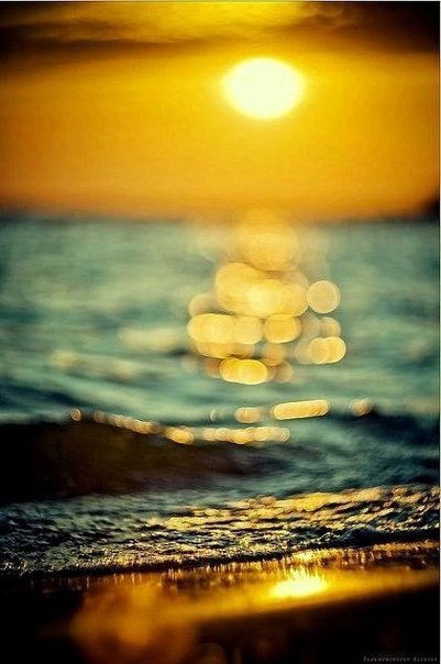 Art & Fun - 28  2015  07:43 - 6