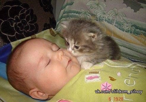 Спи ... спи, а я буду тебя - охранять!...