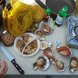 ���� ���������, �����������, 53 ���� - ��������� 11 ������� 2015