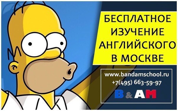 Бадди учим английский