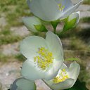 ���� ������, ������, 29 ��� - ��������� 20 �������� 2015