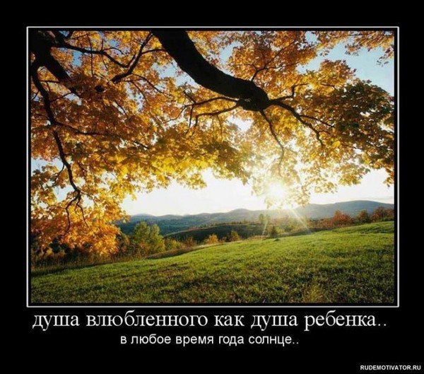   - 28  2015  15:18