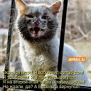 ���� ���������, ������, 65 ��� - ��������� 15 ��� 2015 � ������ ���� ����������