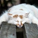 ���� Trezzvyi, ����� �������, 65 ��� - ��������� 17 ������� 2015 � ������ ���� ����������