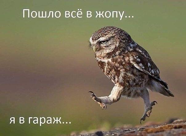 !    -          ...