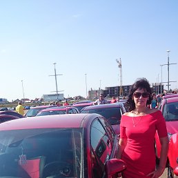 ������, ���������, 49 ���