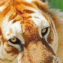  Elena....,  -  3  2015    